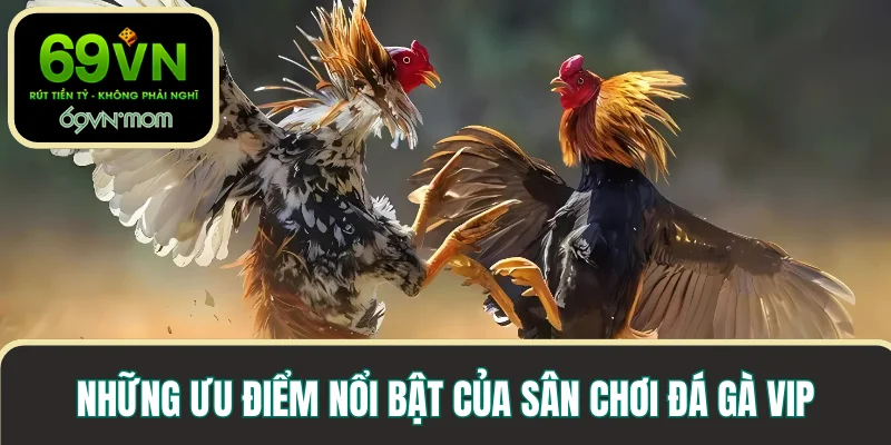 Những ưu điểm nổi bật của sân chơi đá gà VIP